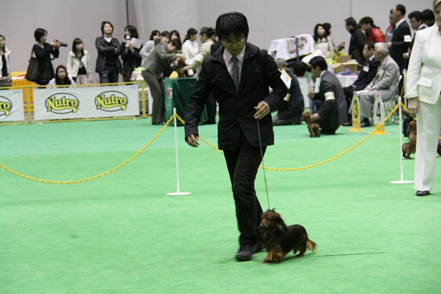 マグ